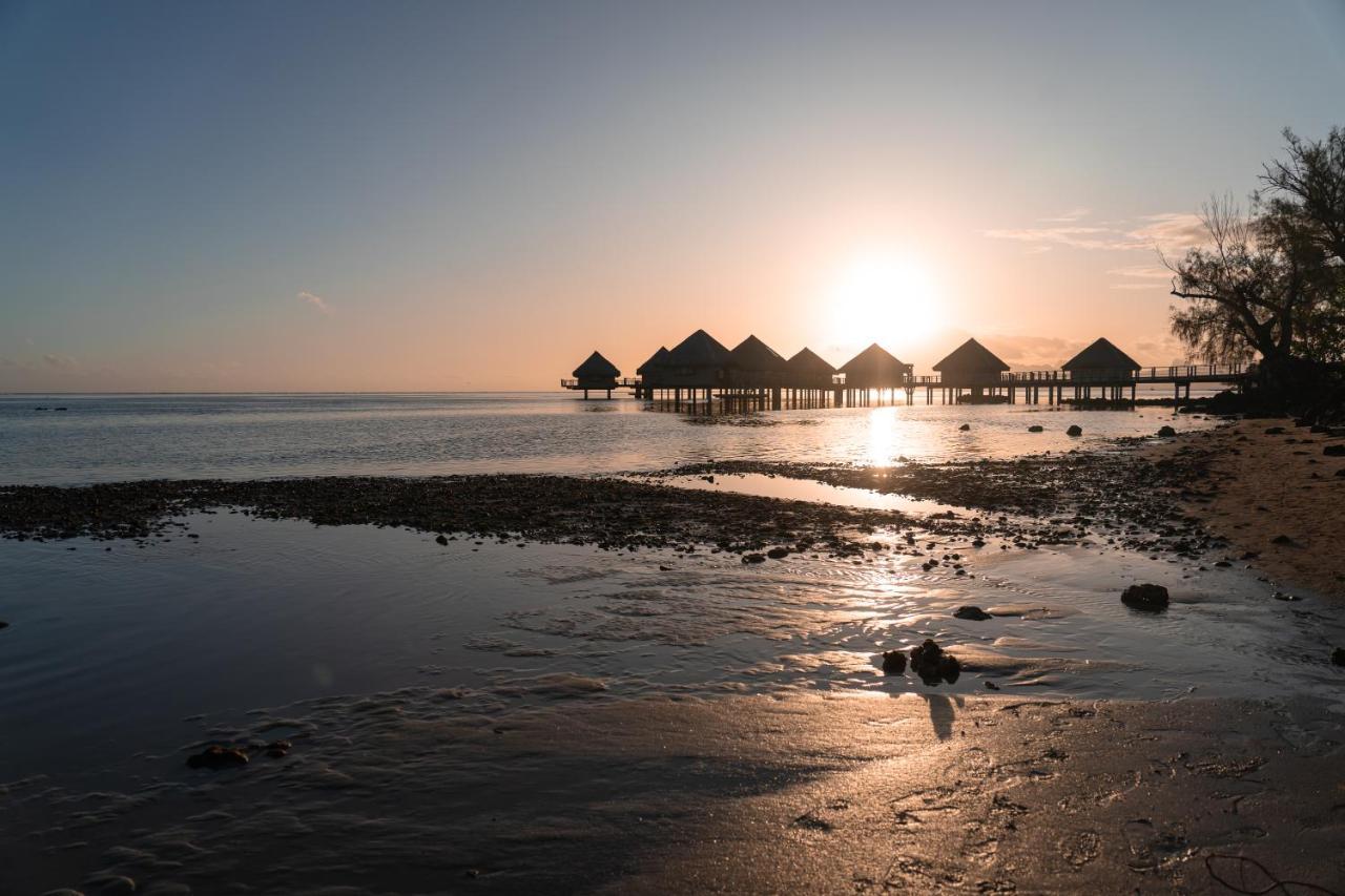 Douceur Tropicale Proximite Plage Et Commerces Punaauia  Exterior foto
